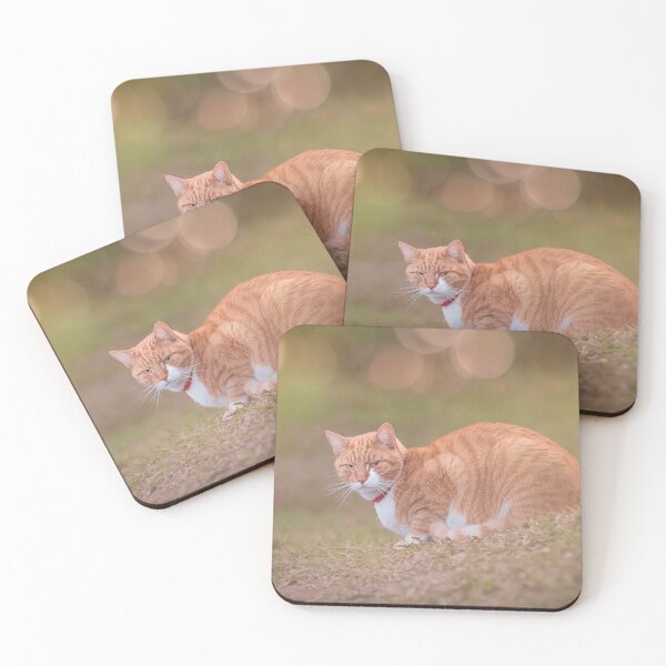 Item preview, Resting Ginger Cat designed and sold by Kipcio.