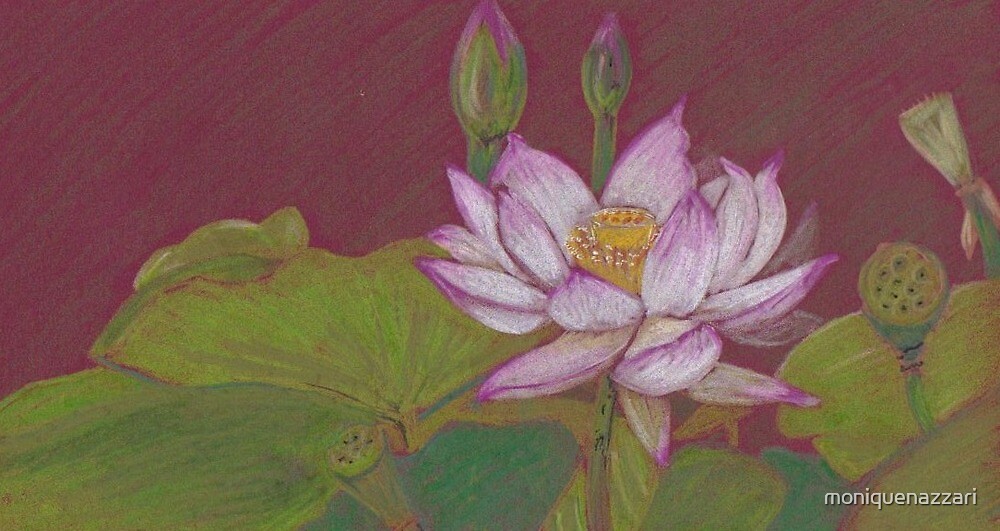 "Lotus in the mud" by moniquenazzari Redbubble