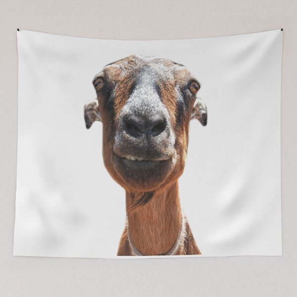 Item preview, goat day silly goat  designed and sold by Stephanie  Skeem.
