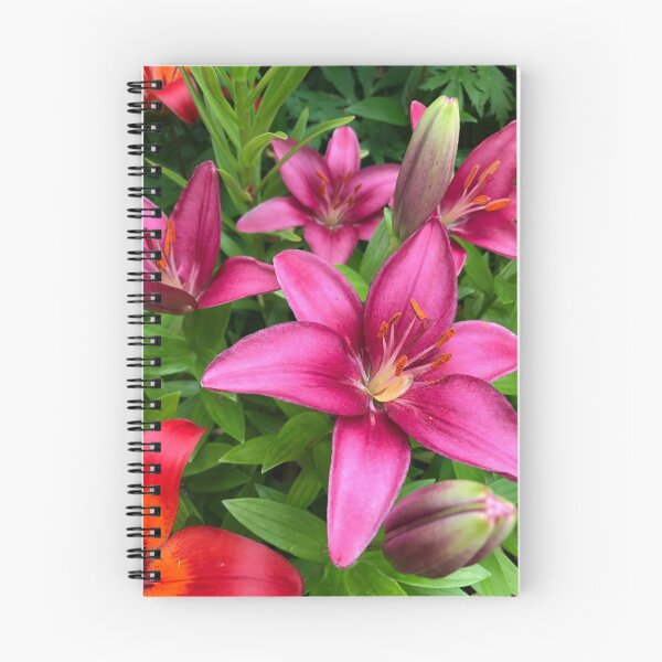 Item preview, Beautiful Pink Daylilies designed and sold by RKA-Products.