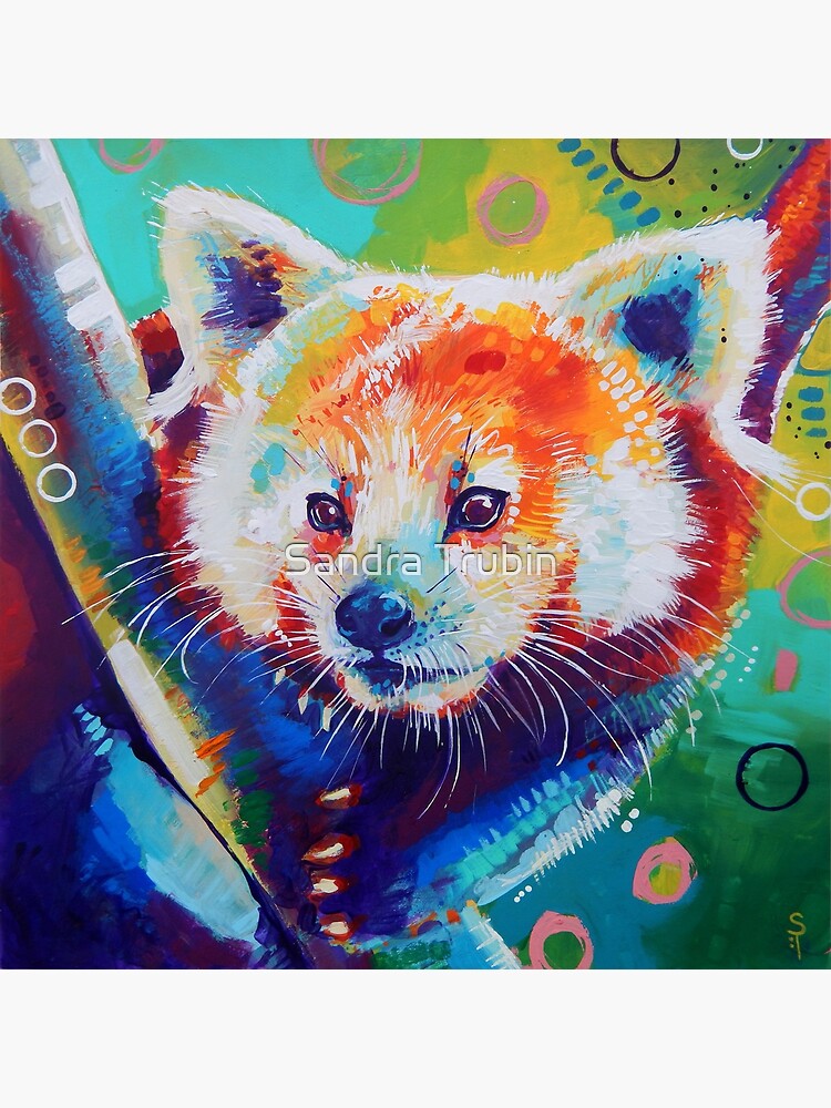 "Red Panda" Canvas Print for Sale by TooMuchColor Redbubble