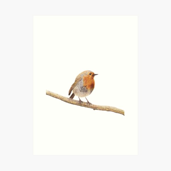 The King of the Garden Art Print