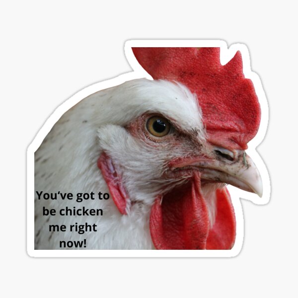 You’ve Got To Be Chicken Me Right Now! Sticker