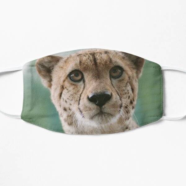 Cheetah Face Portrait Flat Mask