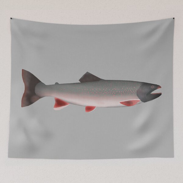Item preview, Windermere Char designed and sold by fishfolkart.