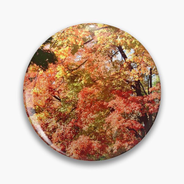 Item preview, Fall in Beechwood Cemetery designed and sold by Shulie1.