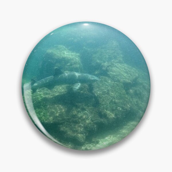 Item preview, White Tipped Reef Sharking Roaming the Cove designed and sold by asmullikin.