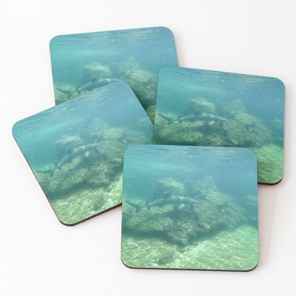 Item preview, White Tipped Reef Sharking Roaming the Cove designed and sold by asmullikin.