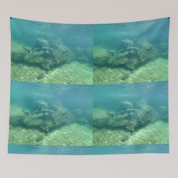 Item preview, White Tipped Reef Sharking Roaming the Cove designed and sold by asmullikin.