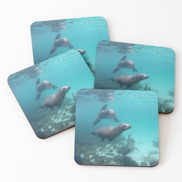 Item preview, Trio of Sea Lions designed and sold by asmullikin.