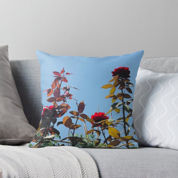 Item preview, Roses in Santa Domenica, Calabria, Italy designed and sold by Sandrinebgt.