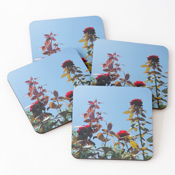 Item preview, Roses in Santa Domenica, Calabria, Italy designed and sold by Sandrinebgt.