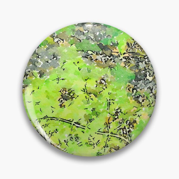 Item preview, Hortus Conclusus: fennel plants designed and sold by Giuseppe Cocco.