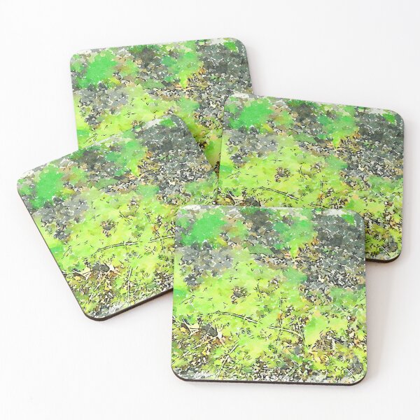 Item preview, Hortus Conclusus: fennel plants designed and sold by Giuseppe Cocco.