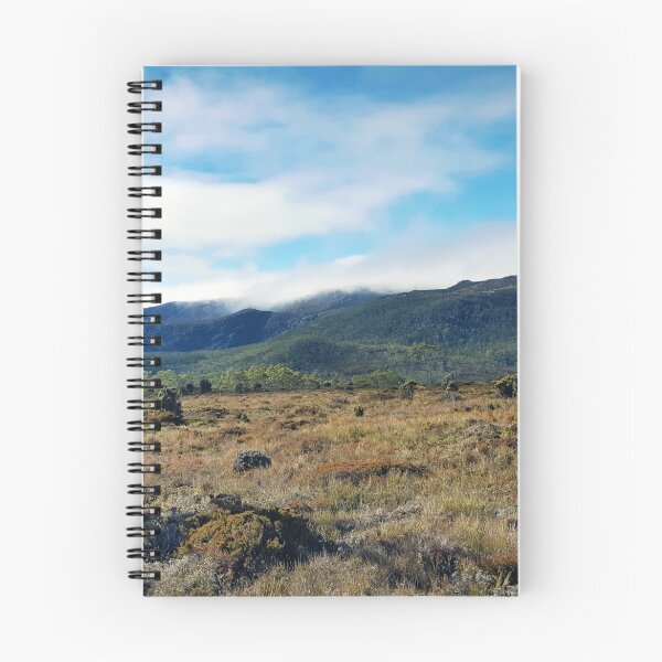 Aperçu de l'œuvre Mount Field créée et vendue par James McKenzie.