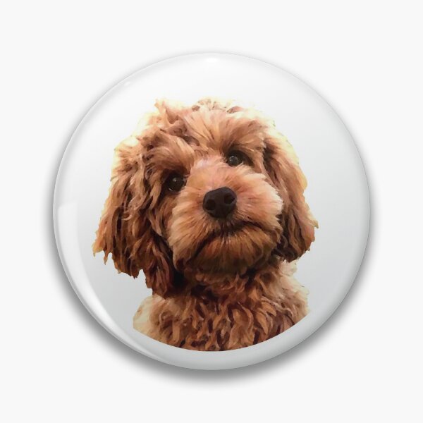 Item preview, Cockerpoo print designed and sold by OByD.
