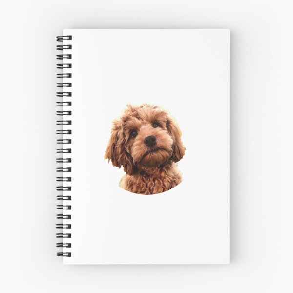 Item preview, Cockerpoo print designed and sold by OByD.