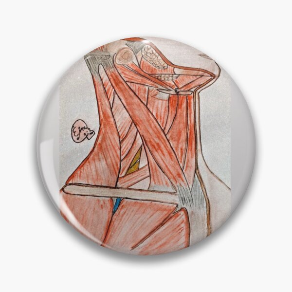 Item preview, Muscles of the Neck (Coloured) designed and sold by Arte Del Cuerpo Humano.