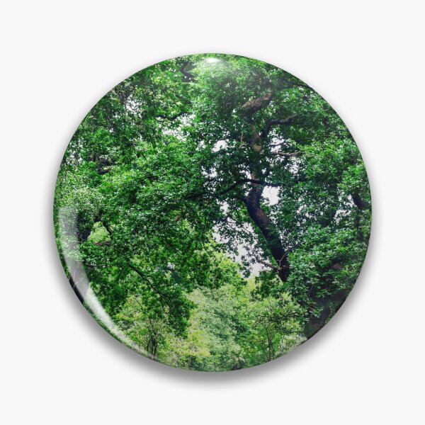 Item preview, Forest designed and sold by SzendeB.