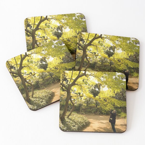 Item preview, Autumn Appreciation Fall color 01 - Tokyo, Japan designed and sold by Norman Repacholi | Keystone Photography.