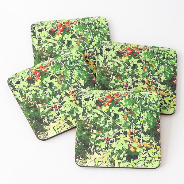 Item preview, Hortus Conclusus: tomato plants designed and sold by Giuseppe Cocco.