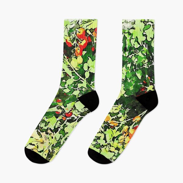 Item preview, Hortus Conclusus: tomato plants designed and sold by Giuseppe Cocco.
