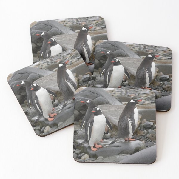 Artikelvorschau, Gentoo Penguins ~ "Umm ........ Welcher Weg" entworfen und verkauft von Robert Elliott.