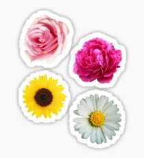 Flowers Set Sticker