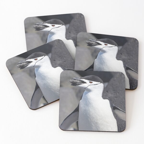 Item preview, Chinstrap Penguin ~ "The Geologist" designed and sold by Robert Elliott.