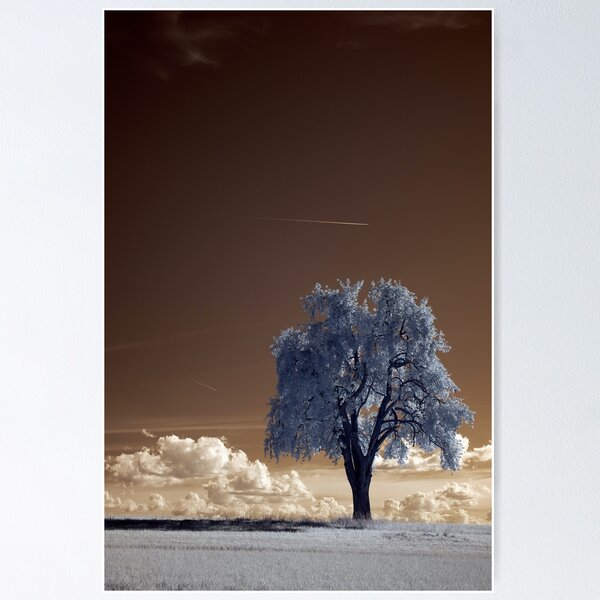Item preview, Frozen Tree Landscape designed and sold by Strikle.