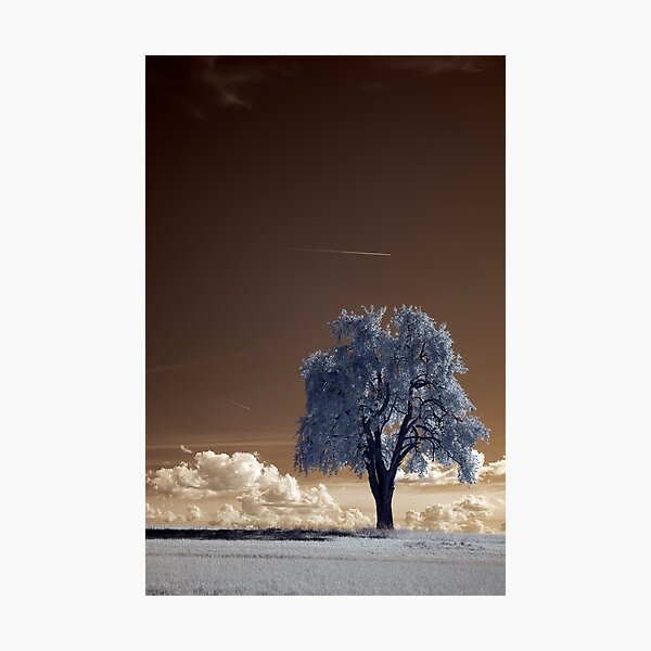 Item preview, Frozen Tree Landscape designed and sold by Strikle.