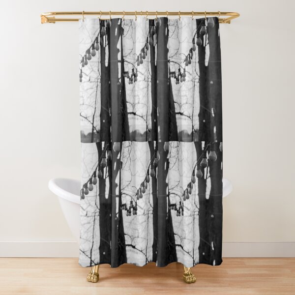 SP 011 Shower Curtain