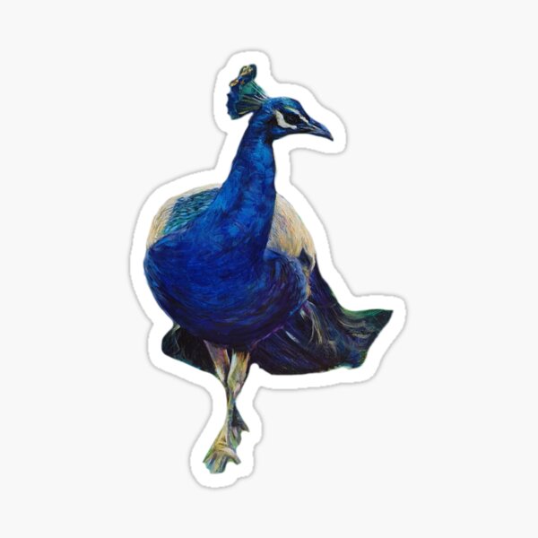 Portuguese Peacock Sticker