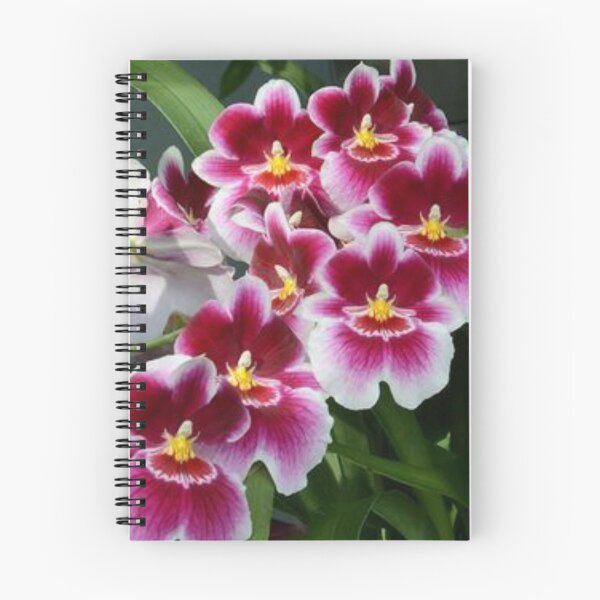 Aperçu de l'œuvre Belles orchidées. créée et vendue par Lan thi Nguyen.