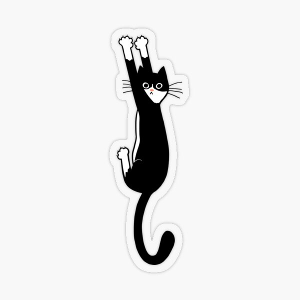 Item preview, Black and White Cat Hanging On | Funny Tuxedo Cat designed and sold by Jenn Inashvili.