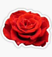 Red Rose Sticker