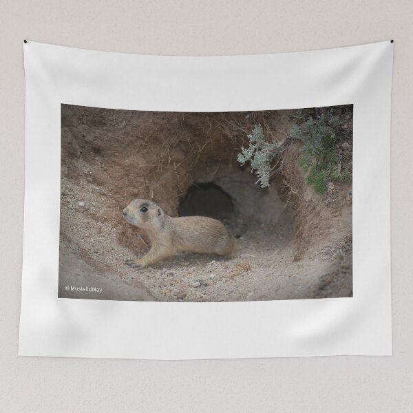 Item preview, Young Prairie Dog designed and sold by MustelidMayArt.