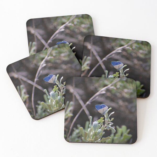 Item preview, Azure butterfly designed and sold by MustelidMayArt.