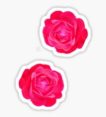 Two pink roses Sticker