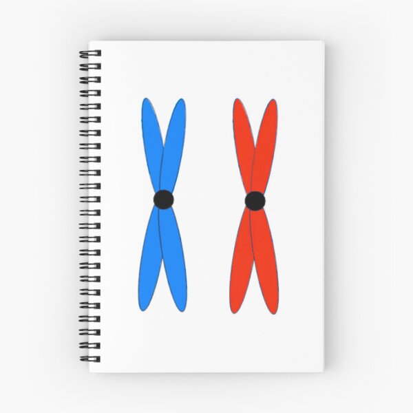 Item preview, Chromosomes designed and sold by antluzzi.