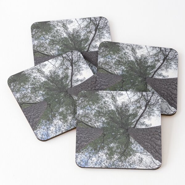 Item preview, Treetops At Ellison Park designed and sold by typhonphoto.