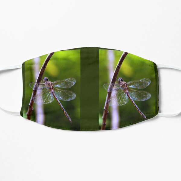 Dragonfly - insect - nature (ED01) Mask