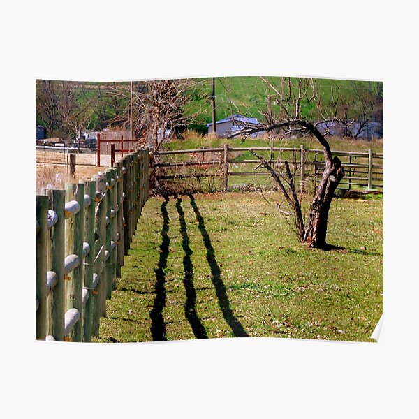 Poster Alten Zaun Redbubble