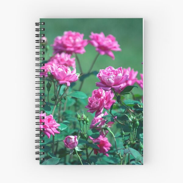Item preview, Longwood Gardens - Spring Series 177 designed and sold by sarahshanely.