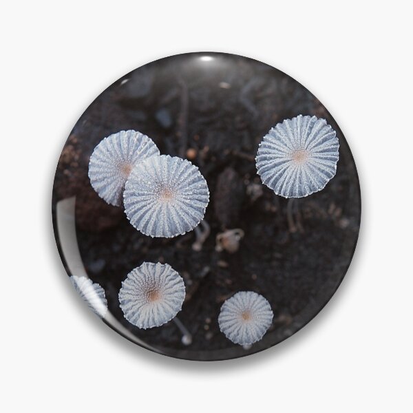 Item preview, Tiny mushrooms -- nature - flora (ED01) designed and sold by Elisabeth Dubois.