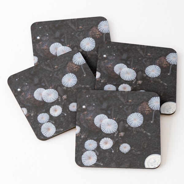 Item preview, Tiny mushrooms -- nature - flora (ED01) designed and sold by Elisabeth Dubois.