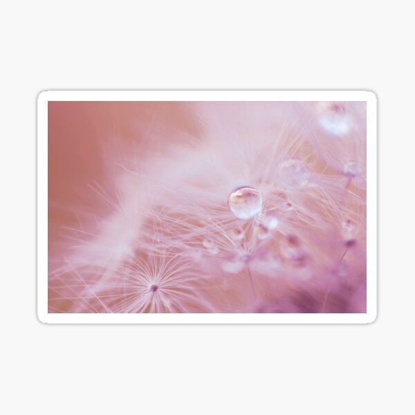 Item preview, Fragility  designed and sold by SweepingShadows.