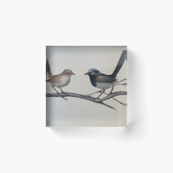 Item preview, Blue wren designed and sold by ldall62.