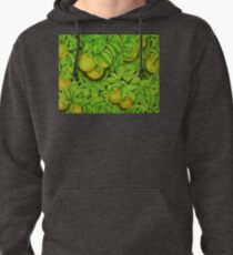 Oranges, oranges, lovely oranges. Pullover Hoodie