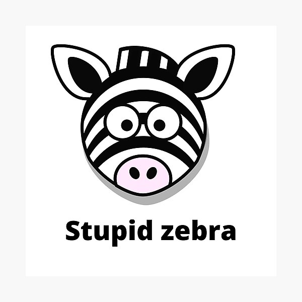 stupid zebra Photographic Print